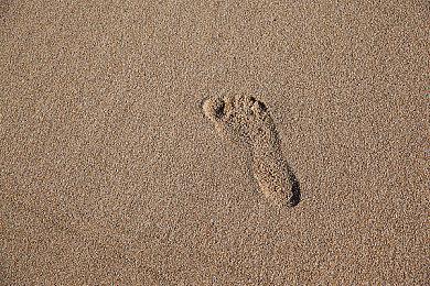 2K确认一些用户数据被窃和用于出售